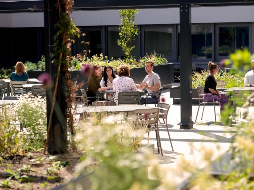 Inhousedag Toezicht Pensioenen & Toezicht Verzekeraars